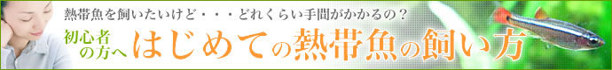 �鿴�Ԥ����ء��Ϥ���Ƥ�Ǯ�ӵ��λ�����