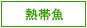 Ǯ�ӵ�