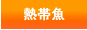 Ǯ�ӵ�