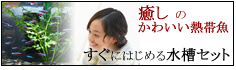 Ǯ�ӵ� ����