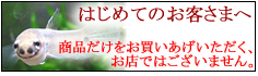 ���岰.com