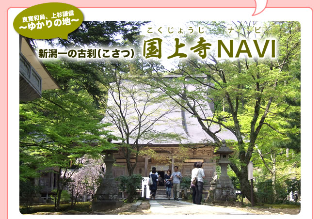 �ɴ��¾�������������椫����ϡ������θ���ʤ����ġ˹���NAVI
