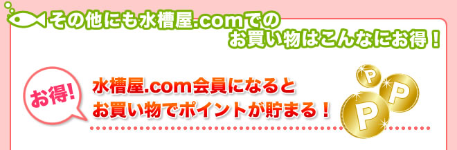 ����¾�ˤ���岰.com�ǤΤ��㤤ʪ�Ϥ���ʤˤ�����