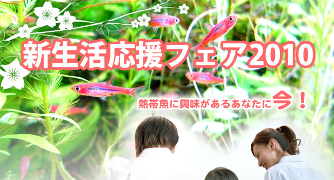 新生活応援フェア2010 熱帯魚に興味があるあなたに今!