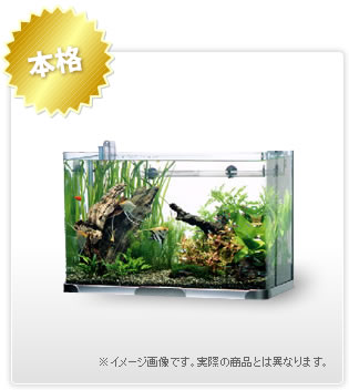������̵���ۤ��٤ƤĤ��ơ��ܳ�Ū�ǤˤϤ������45cm���奻�åȡ����θ夫���