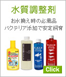 Ǯ�ӵ� ����