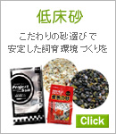 Ǯ�ӵ� ����