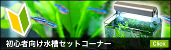�鿴�Ը������奻�åȥ����ʡ�