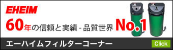 �����ϥ���ե��륿�������ʡ�