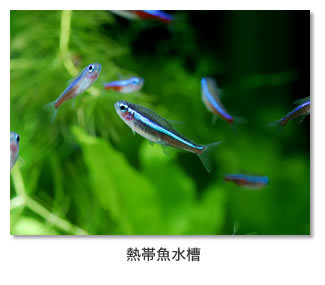 Ǯ�ӵ�����