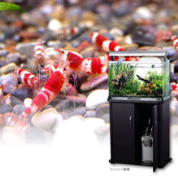 ������̵���ۤ��٤ƤĤ����ܵ��ǤϤ�����åɥӡ��������60cm���奻�å� �ʥ��Ӹ夫���