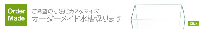 ���������ᥤ�ɿ���Τ����Ѥ�ϥ����餫�顣