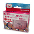 �ѥԥ�C B-4