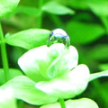 �顼���ѡ��륰�饹