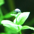 �顼���ѡ��륰�饹