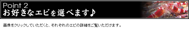 Point2���������ʥ��Ӥ����٤ޤ���