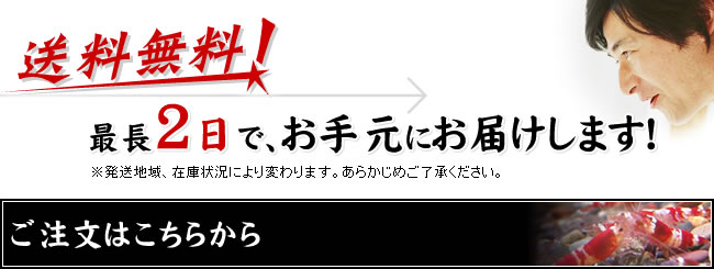 ������̵���ۺ�Ĺ2���ǡ����긵�ˤ��Ϥ����ޤ���