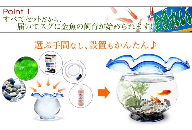 Point1�����٤ƥ��åȤ������Ϥ��ƥ����˶���λ��餬�Ϥ���ޤ���