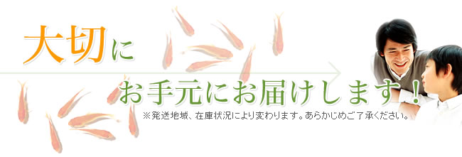 ��Ĺ2���Ǥ��긵�ˤ��Ϥ����ޤ�����ȯ���ϰ衢�߸˾����ˤ���Ѥ��ޤ������餫���ᤴλ������������