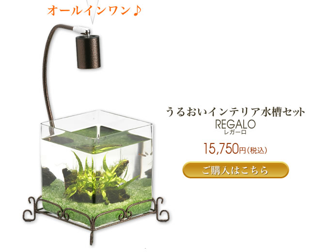 うるおいインテリア水槽セット レガーロ 15,750円(税込) ご購入はこちら
