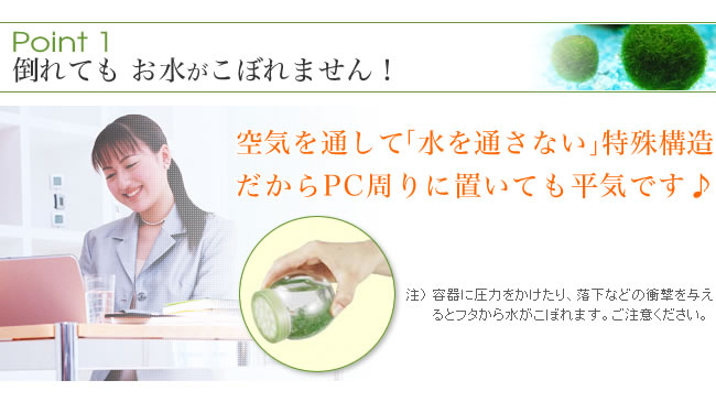 Point1���ݤ�Ƥ⤪�夬���ܤ�ޤ���