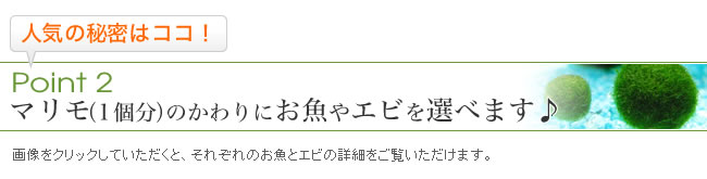 Point2�ޥ���1��ʬ�ˤΤ����ˤ����䥨�Ӥ����٤ޤ���