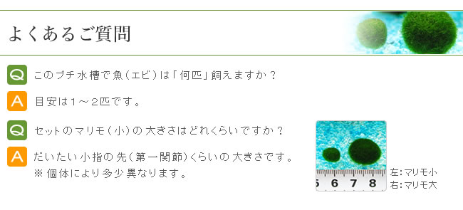�褯���뤴����