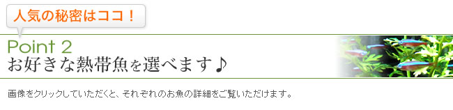 Point2����������Ǯ�ӵ������٤ޤ���