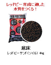 �쾲����åɥӡ�����ɡʥ�����ˣ����