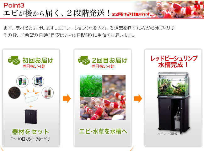 Point�������Ӥ��夫���Ϥ������ʳ�ȯ����������Ȥ�����̵���Ǥ�