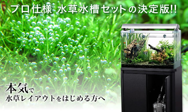１２，６００円お得な特別価格！プロ仕様　水草水槽セットの決定版！！