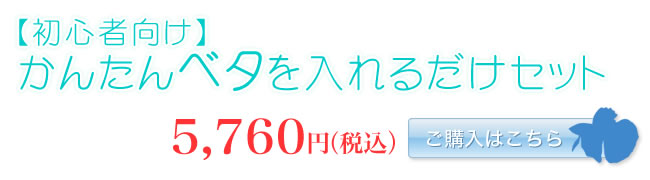 �ڽ鿴�Ը����ۤ��󤿤�٥��������������å�5,760�ߡ��ǹ��ˡ��������Ϥ�����