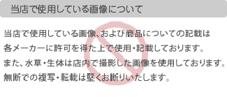 当店で使用している画像について