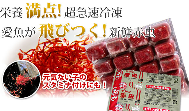 栄養満点！超急速冷凍　愛魚が飛びつく！新鮮赤虫