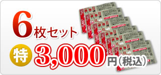≪クール料金込み≫冷凍クリーン赤虫（１００ｇ/３２キューブ）×６枚セット