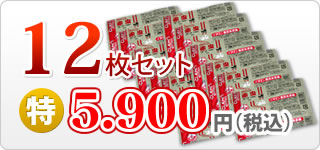 ≪クール料金込み≫冷凍クリーン赤虫（１００ｇ/３２キューブ）×１２枚セット 