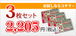 ≪クール料金込み≫冷凍クリーン赤虫（１００ｇ/３２キューブ）×３枚セット 