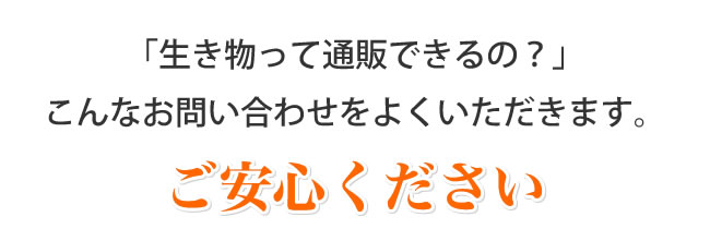 「生き物って通販できるの？」こんなお問い合わせをよくいただきます。ご安心ください。