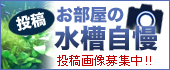 わたしの水槽自慢　投稿募集中！