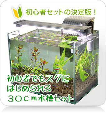 水槽屋.com │ 熱帯魚・水草とアクアリウム用品専門通販