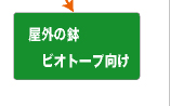 屋外の鉢・ビオトープ向け
