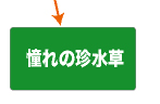 憧れの珍水草