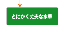 とにかく丈夫な水草