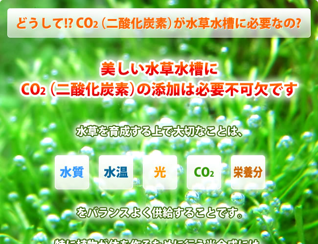 美しい水草水槽にCO2（二酸化炭素）の添加は必要不可欠です