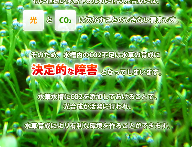 水槽内のCO2不足は水草育成に決定的な障害となってしまいます。