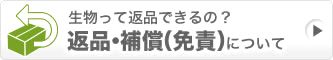 返品・補償（免責）について