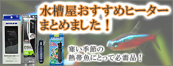 水槽屋 Com 熱帯魚 水草 アクアリウム用品の専門店 ネット通販 水槽屋 Com 熱帯魚 水草 アクアリウム用品の専門店 ネット通販