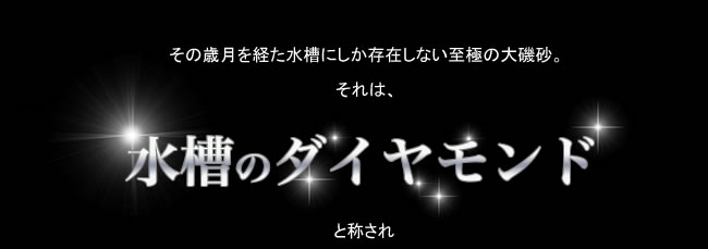 その歳月を経た水槽にしか存在しない至極の大磯砂。それは【水槽のダイヤモンド】と称され