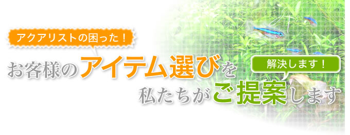 お客様のアイテム選びを私たちがご提案します