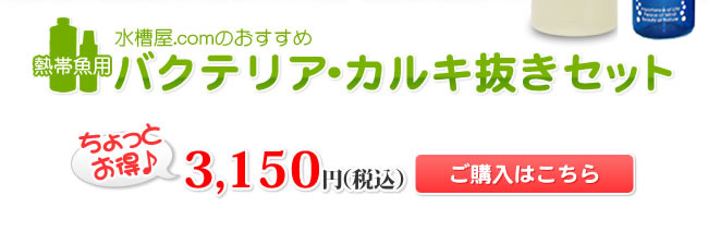 【水槽屋.comおすすめ】熱帯魚用バクテリア・カルキ抜きセット　ちょっとお得♪3,150円（税込）ご購入はこちら